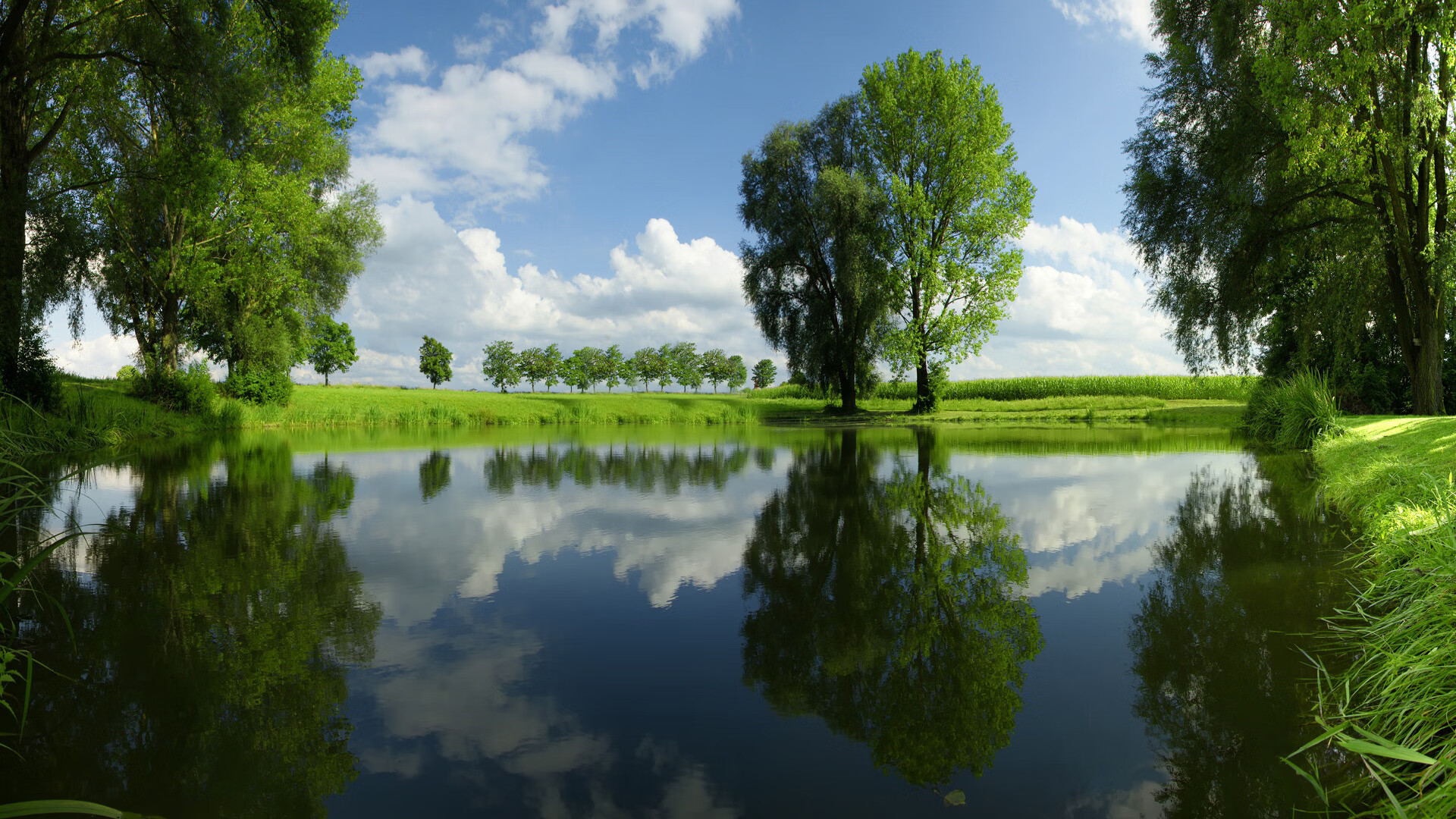 世界排球联赛:攻防转换速度提升观赛快感